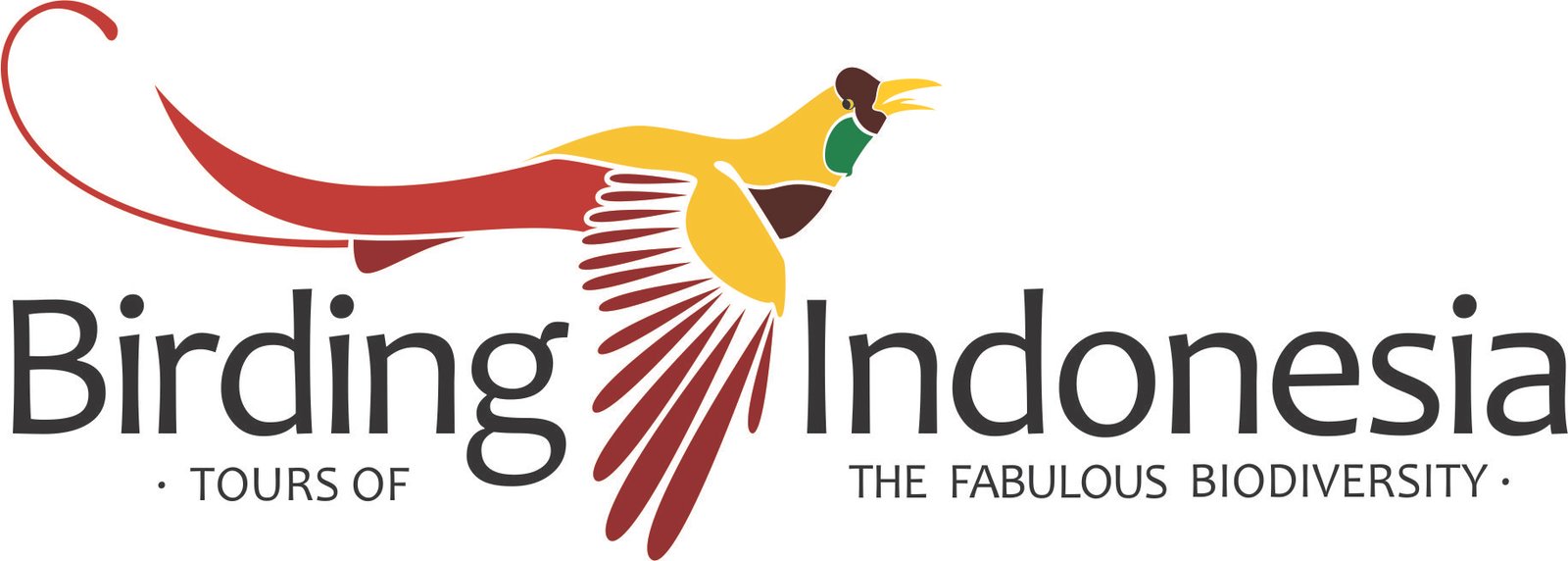 Birding Indonesia